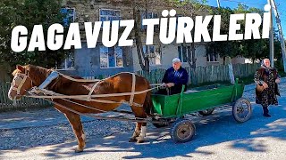 Türkçe Konuşan GAGAVUZ TÜRKLERİ İle Tanıştım !! (Gagavuzya/ Moldova)- 202 🇲🇩