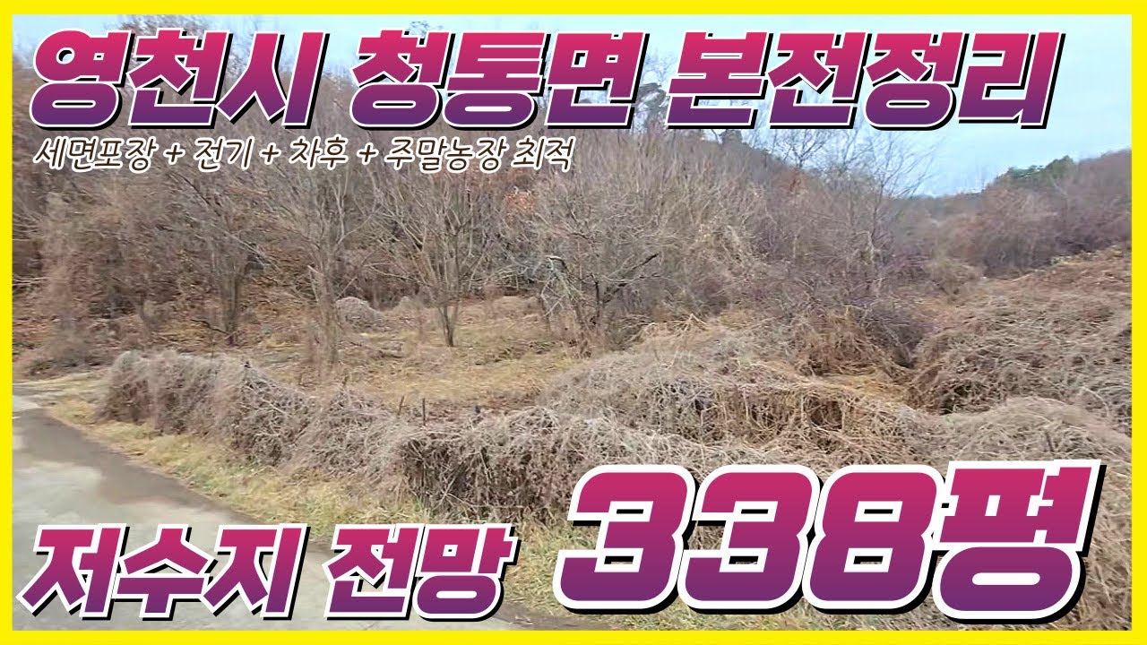 영천땅매매 6천으로 이런 땅이? 청통면 338평 본전 매물