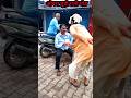दा हो चाय ए Masti comedy Chirkut Kaka #comedy #shortsviral #railways #chirkutin #bhojpuri