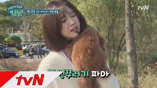 Dear My Human 수경의 사고뭉치견! 훈련 받고 ′개′과천선한 썰! 171122 EP.10