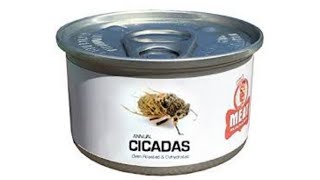 وجبات الحشرات الامريكية تنافس الصينية (cicada meal)