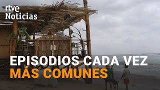 CÁDIZ: Las FUERTES OLAS arrastran todo a su paso y se comen una playa y el CHRINGUITO | RTVE