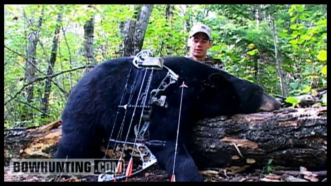 Ontario Black Bear Hunting! Great Hunt! 
