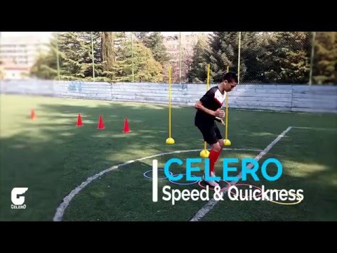 CELERO/სელერო-სისწრაფე სისხარტის ვარჯიში