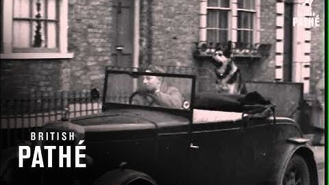 Life Before Car Alarms...