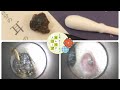 【耳そうじ】Vol. 37 ブラックスーモの潜伏先earcleaning & headmassage