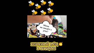 БЕШЕНЫЙ⚠️МЁД В ТУРЦИИ 🍯‼️#стамбул #турция #туреччина #турція #shorts #жизньвтурции #шопингвстамбуле