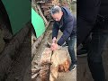 wood cutting techniques using a manual saw #shorts