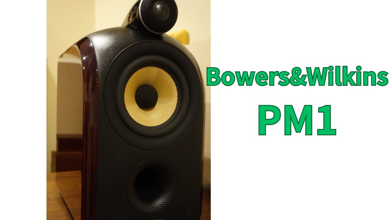 Ｂ＆Ｗ　ＰＭ１