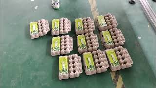 Egg Box tray Sticker labeling machine solution