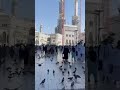 Allah Hu AllahAisha parveen- w6s#madina makaa🥰#Love ❤ # Prophet Muhammad#love🥰