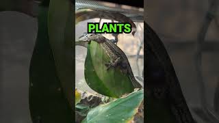 Dont Miss Out On Major Deals Starting This Friday