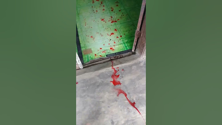 bukan darah .warna warni prambos buat agustusan tumpah