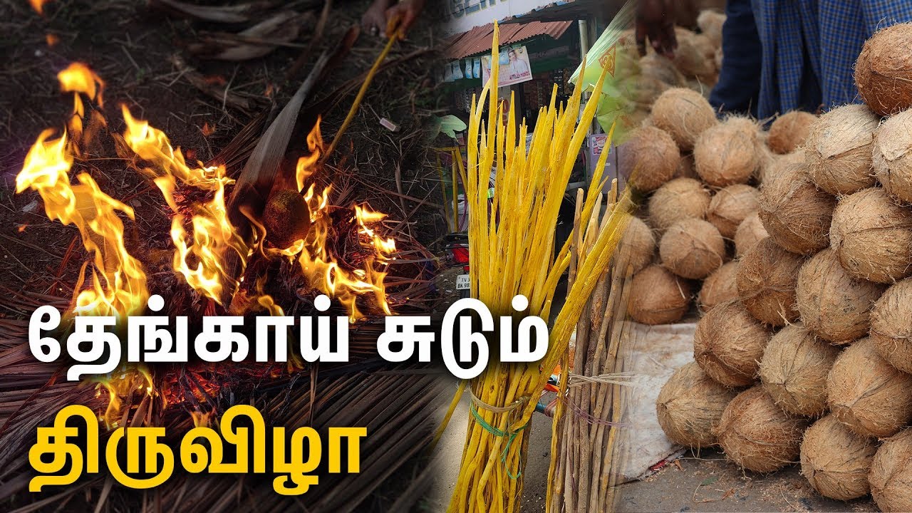 AADI PANDIGAI TRADITION OF SALEM - FIRE ROASTED COCONUT | South Indian Food