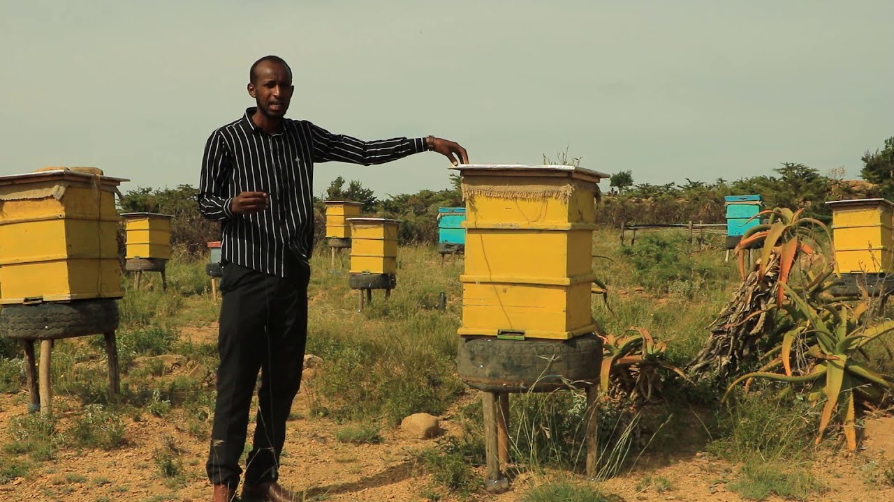 #1-Shinida Malabka markiiba 50kg - 100kg ayaad ka heli kartaa ee sidaan samee.