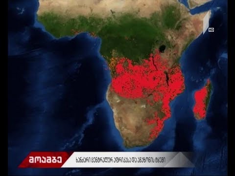 ხანძარი ცენტრალურ აფრიკასა და ამაზონის ტყეში