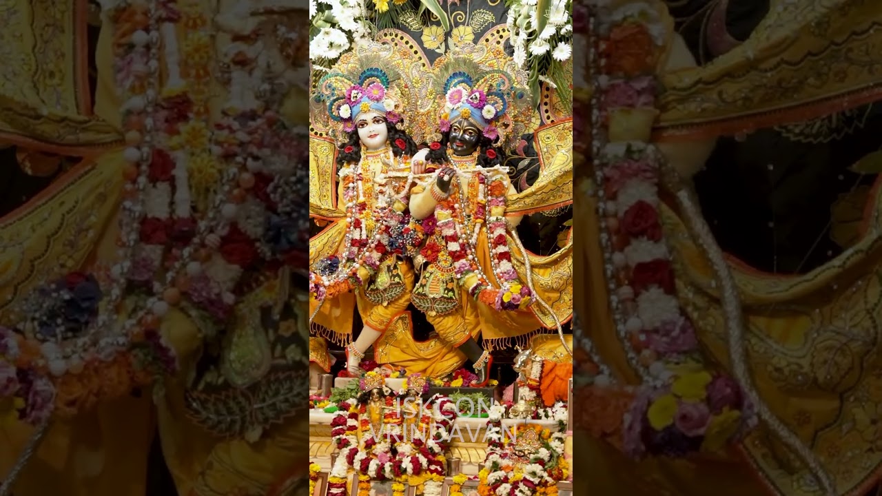 Today's Radha Shyamsundar, Krishna Balaram, Gaur Nitai Darshan | 08-02-2026