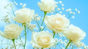 🌸 Music Therapy | Relaxing Piano & Blooming Flowers for Inner Peace & Soul Healing