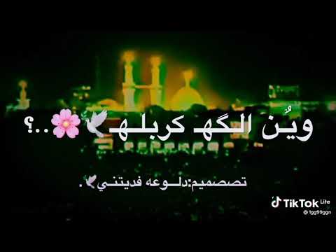 منو يحب هي نغمه نه اموت عليه والله 