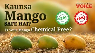 Asli aur Naqli Mango me farq - Is Your Mango a Chemical Free - #mango #foodsafety - Deccan Voice screenshot 5
