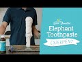 Elephant Toothpaste Experiment Quiz
