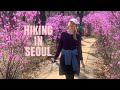 (Amwf) International Couple: Hiking in Seoul  국제커플 : 서울에서 등산하기