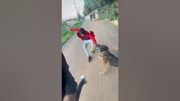 اندل اثنين بل عالم😂نزار الحموي #shorts