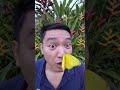 butterfly kupu kupu belalang #moodbooster #betterlife #gardenflowers