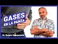 Cuáles son las CAUSAS y cómo evitar LOS GASES en la PANZA 💨💥 | Flatulencias, hinchazón