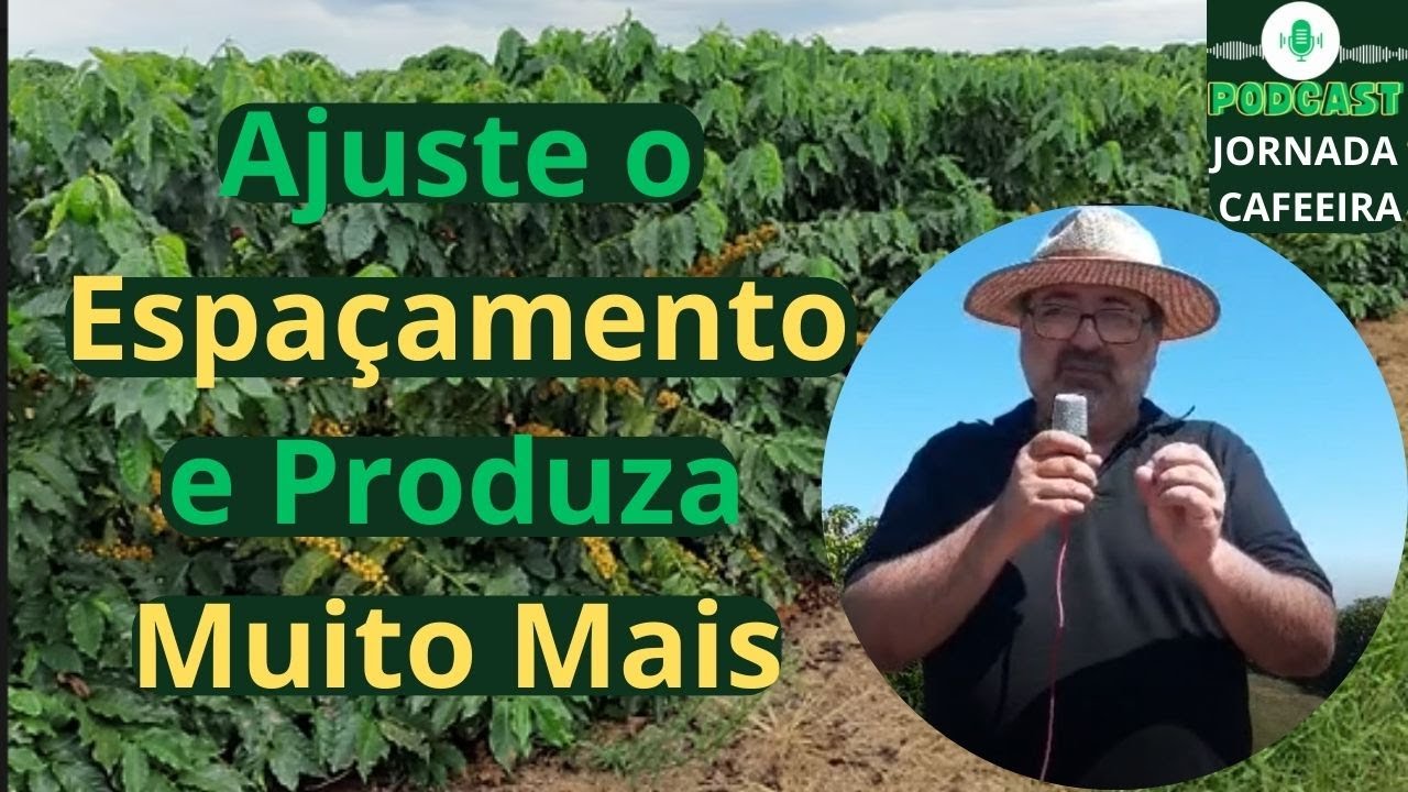 Espaçamento Inteligente: Maximizando a Produtividade de Arara, Catucaí e Asa Branca