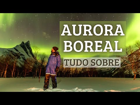 Vídeo: Top Cruzeiros para ver a aurora boreal