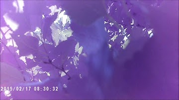 Eachine Assassin 180 FPV- Battery Ejected Mid Flight And A Crash (SQ11 Camera)