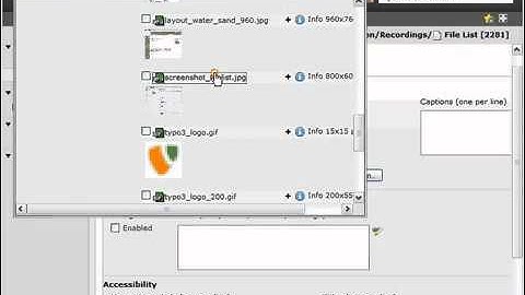 TYPO3 Handleiding voor redacteuren- 4 Minuten Introductie in TYPO3 4.5 LTS (Engels)