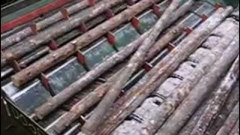 VIDEO OF ROTARY LOG SINGULATOR