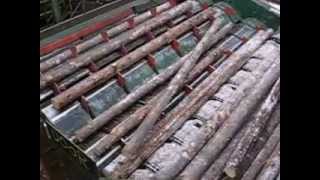 VIDEO OF ROTARY LOG SINGULATOR