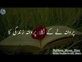 Parwana zindigi ka / New Urdu Poetry by Mr Eram Nawaz