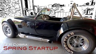 FFR Cobra: Spring Startup
