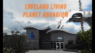 Loveland Living Planet Aquarium Complete Tour Draper Salt Lake City Utah
