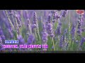Huy Tâm Channel - Houston, Thảo Nguyên Tím - KARAOKE (Tone Nam Em)