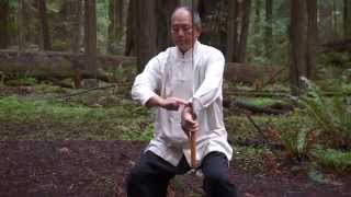 tai chi sword for beginners dvd trailer 2 ymaa dr yang jwing ming
