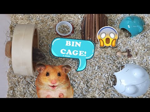 Video: Cum Se Face O Cușcă De Hamster DIY