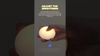 Operating Guide For Fravita Night Light