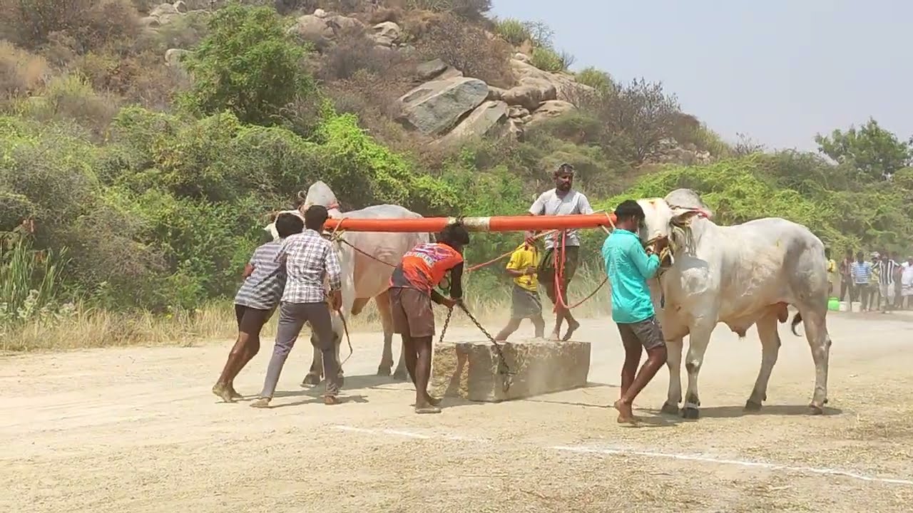 చెర్లోపల్లి న్యూ క్యాటగిరి విభాగం 9వ విజేత రమేష్ ఉబిచెర్ల అనంతపురం జిల్లా