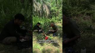 Akun baru,bantu suport ny lur#tukang babat#spesialis rumput&amp;semak belukar