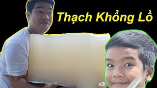 Làm Thạch Rau Câu Khổng Lồ TQ97 Bị Troll Cười Đau Bụng