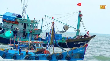 🔴 Cảnh Quay Ghe Lưới Rút Ninh Thuận // Giã Cào Đôi Lagi Về Cảng