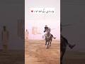 Tent Pegging Epic 6 Nezabazi Style Massab Manj Tent Pegging Epic 6 Nezabazi Style Massab Manj