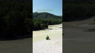 Природа Алтая. Река Катунь