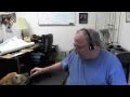 Curing hotspots on dogs with bag balm Curing hotspots on dogs with bag balm