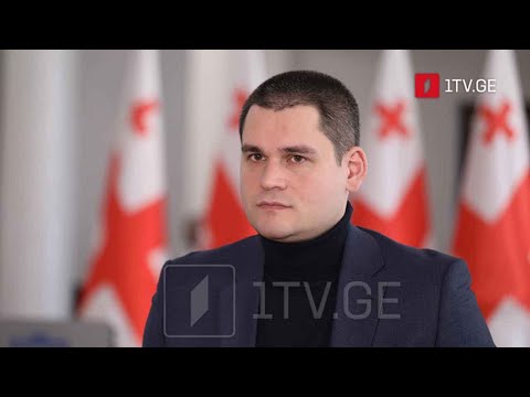 ოპოზიციური პარტიების გეგმები